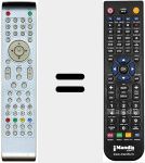 Comando &agrave; dist&acirc;ncia substituto de REMCON1315